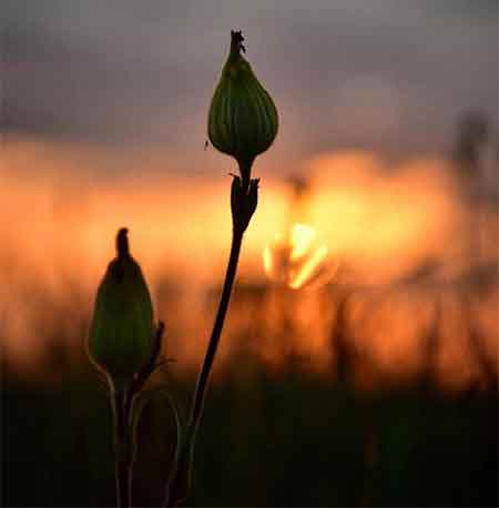دانلود آهنگ میگیره دلا چه آسون علی رزاقی